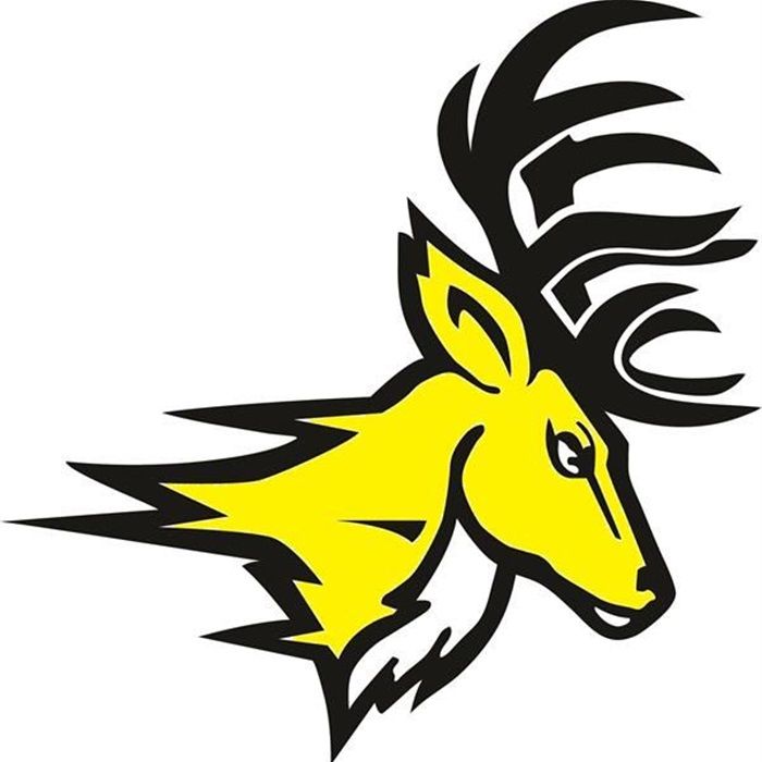 the-central-bucks-west-bucks-scorestream