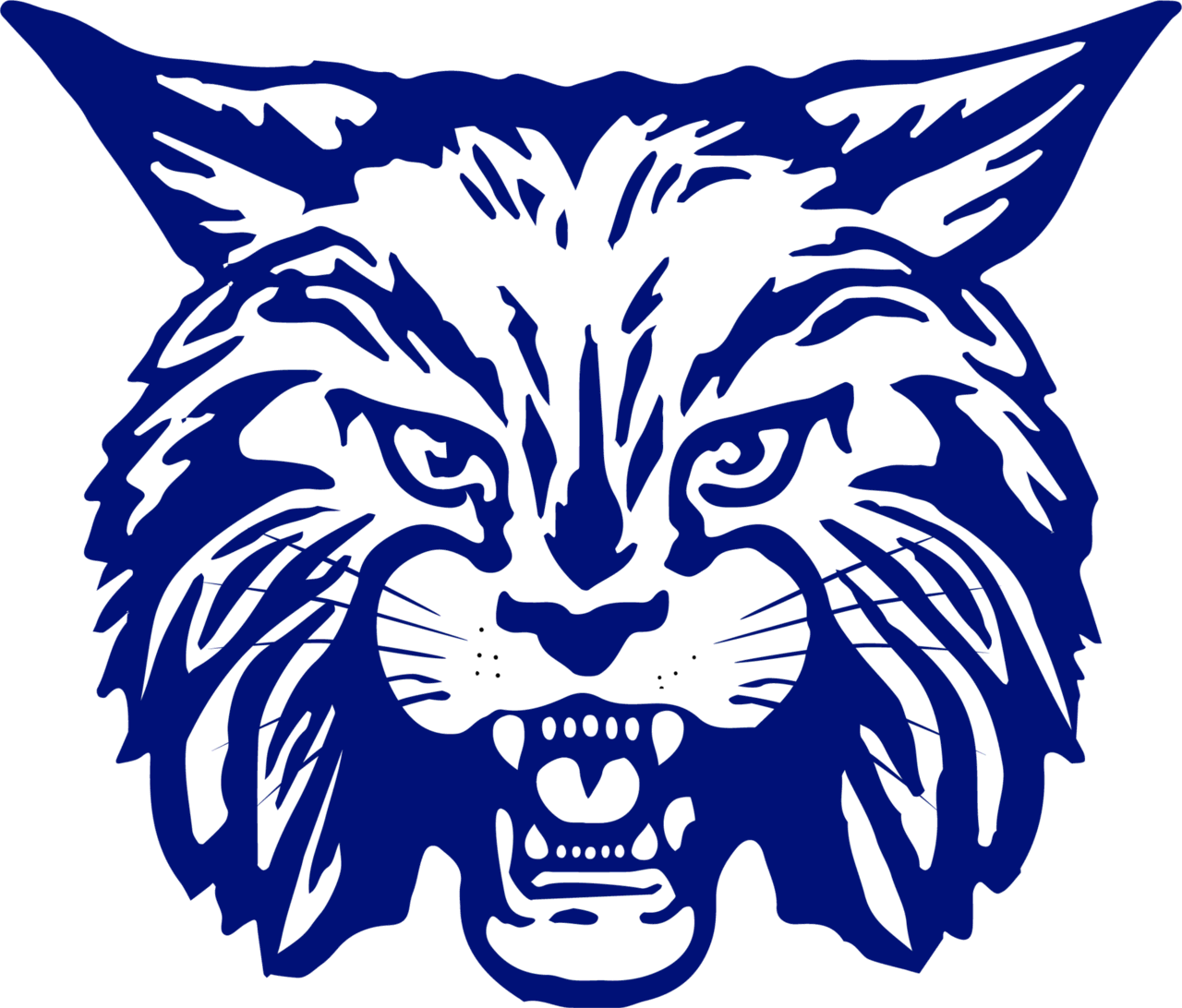 the-dimmitt-bobcats-scorestream