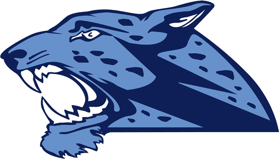 Jaguar San Antonio >> The Johnson Jaguars Scorestream Jaguar San Antonio >> The Johnson Jaguars Scorestream