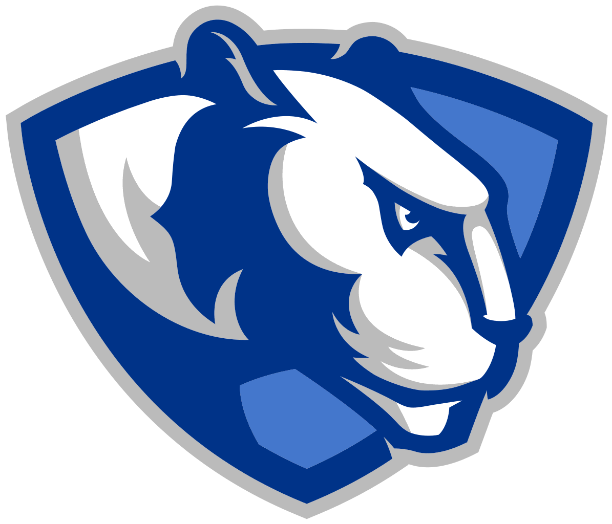 The eastern illinois panthers scorestream