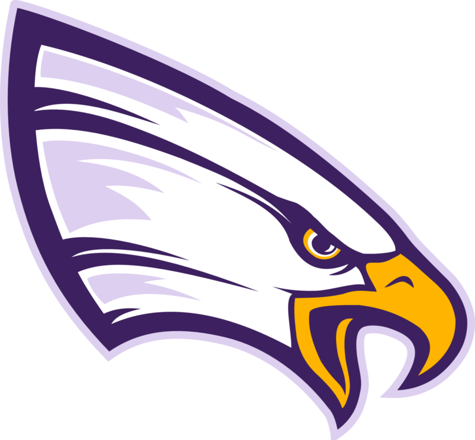 Image result for northwestern eagles logo