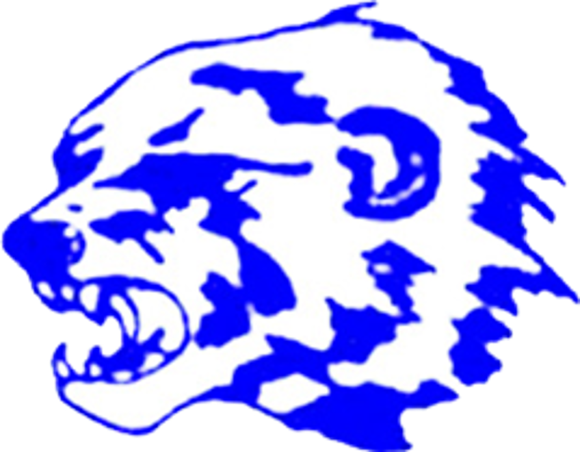 The Ellwood City Wolverines ScoreStream