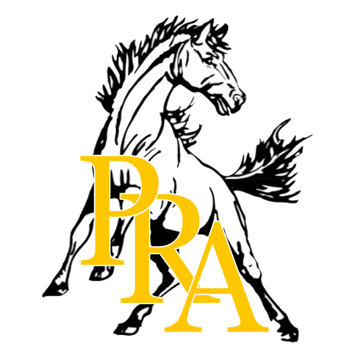 The Park River Area Aggies ScoreStream