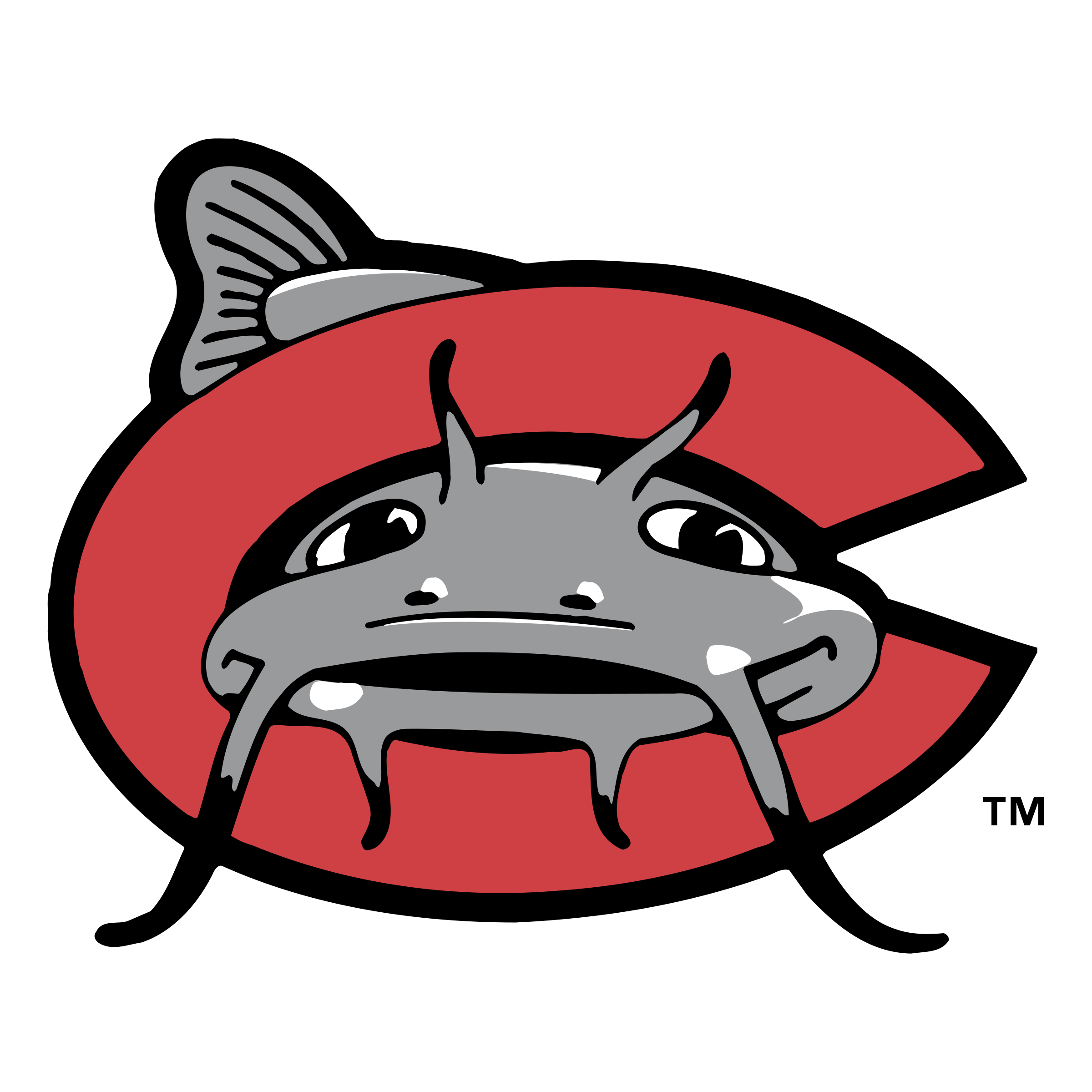 The Carolina Mudcats - ScoreStream