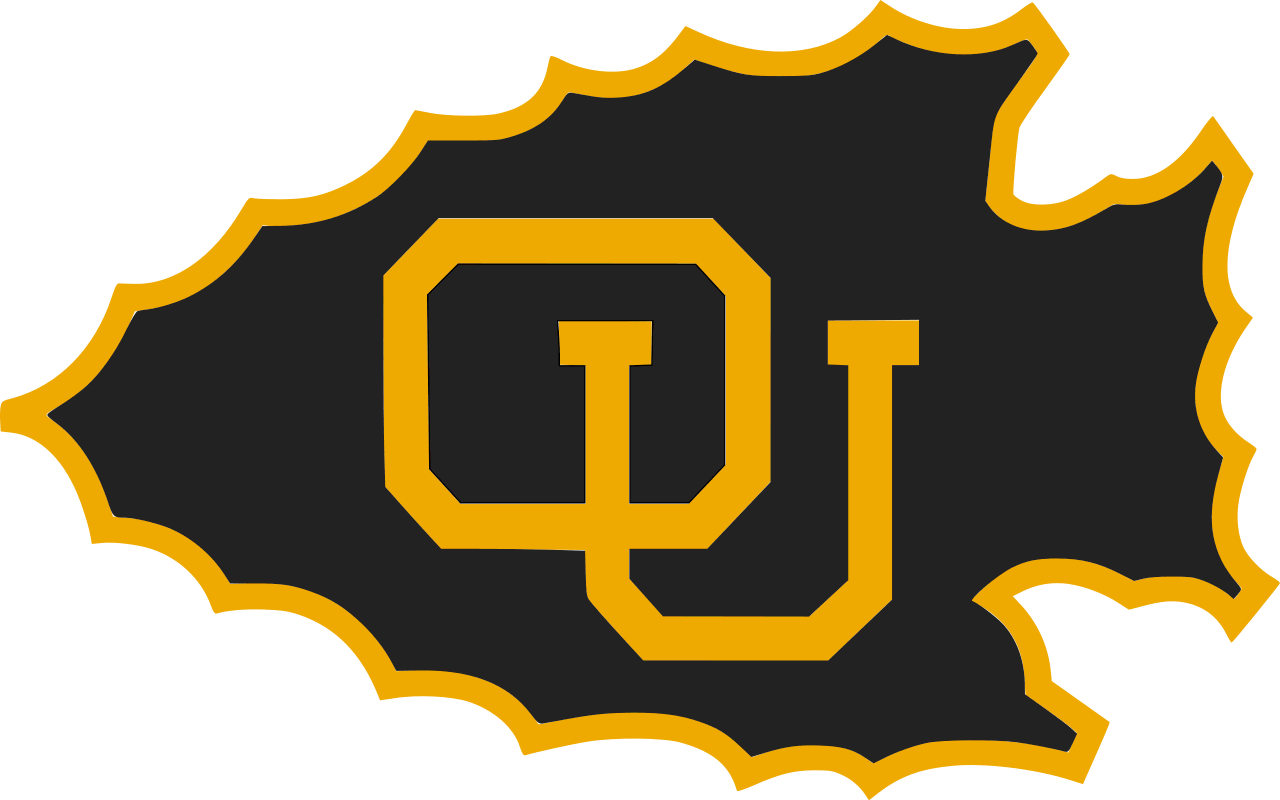 The Ottawa Braves ScoreStream