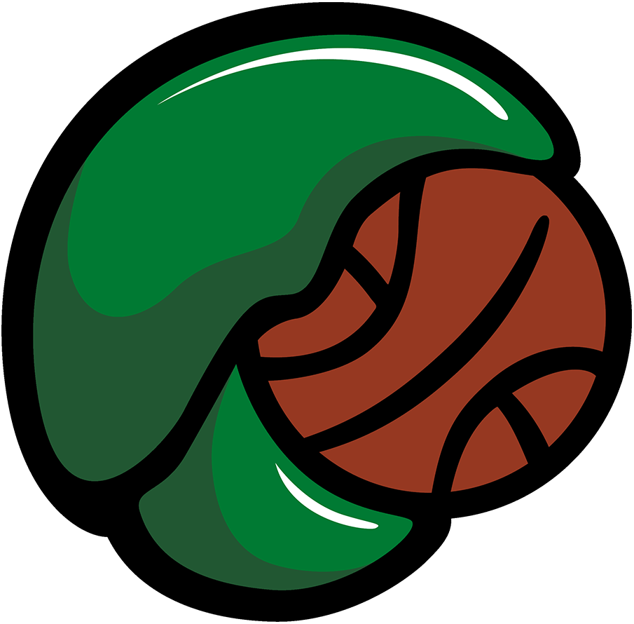 The Maine Celtics ScoreStream