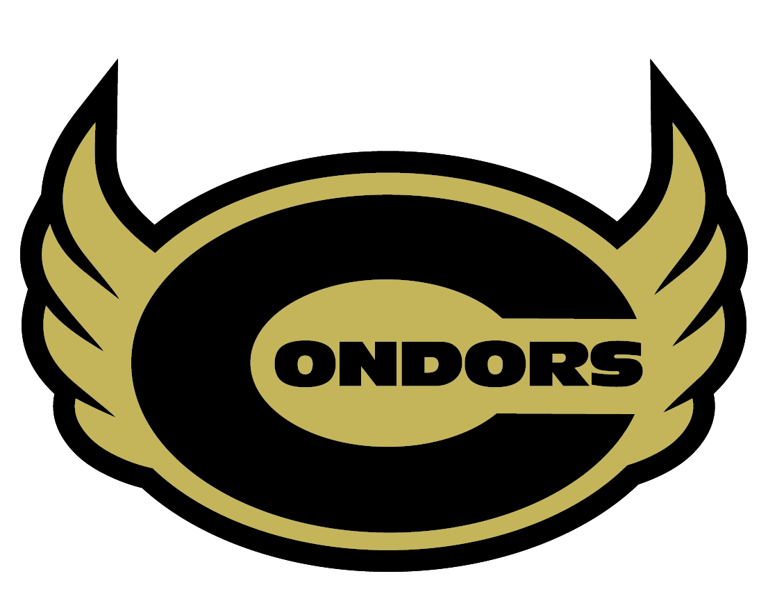 The Cdmx Condors Scorestream