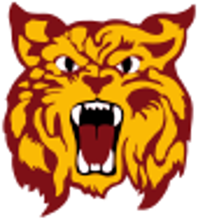 The Freeman Academy Bobcats ScoreStream