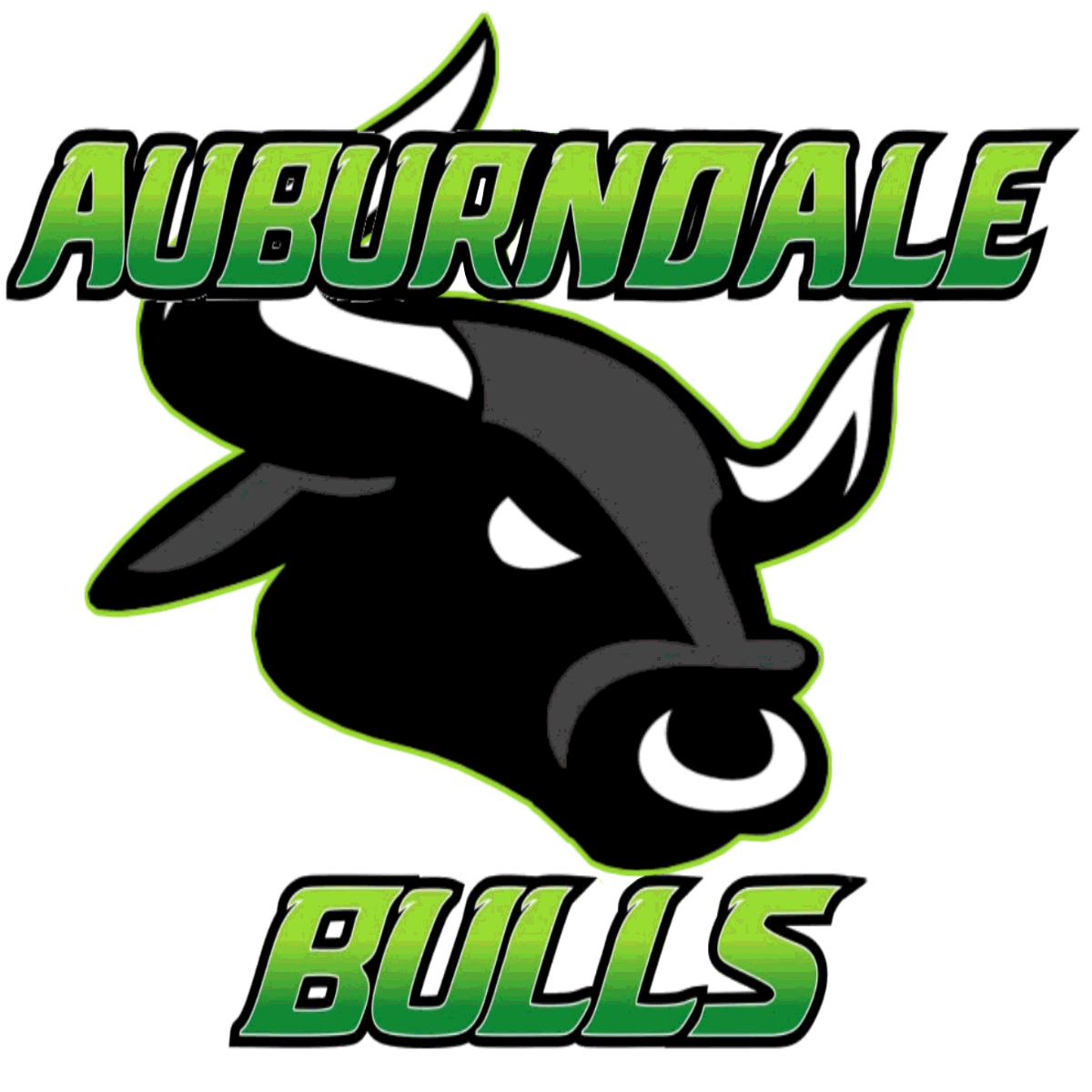 The AUBURNDALE Bulls ScoreStream