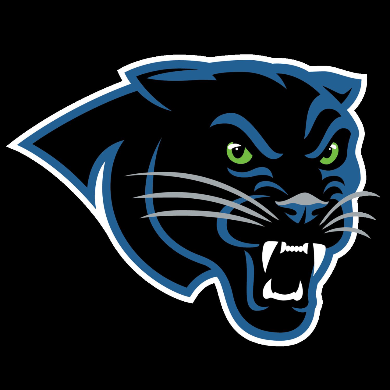The Guilford Park Panthers ScoreStream