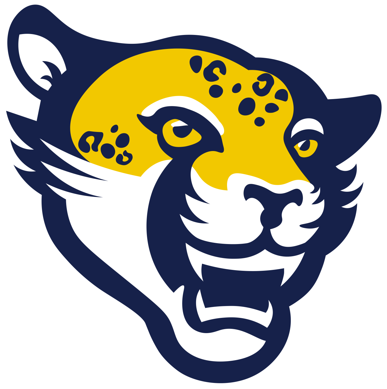 The Lehigh Valley Academy Jaguars ScoreStream