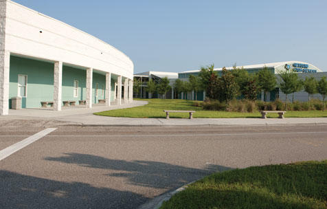 The Newsome Wolves Scorestream