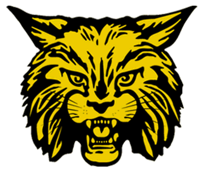 The Carrier MillsStonefort Wildcats ScoreStream