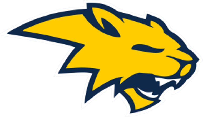 The Neuqua Valley Wildcats - ScoreStream