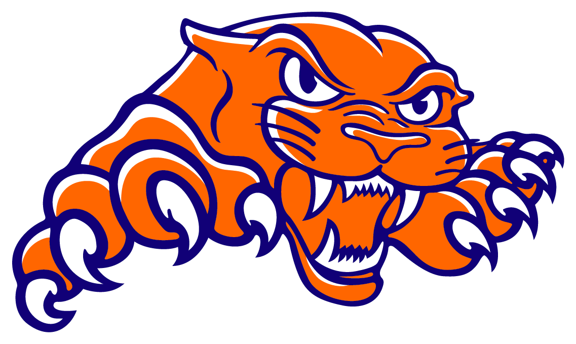 The Pana Panthers ScoreStream