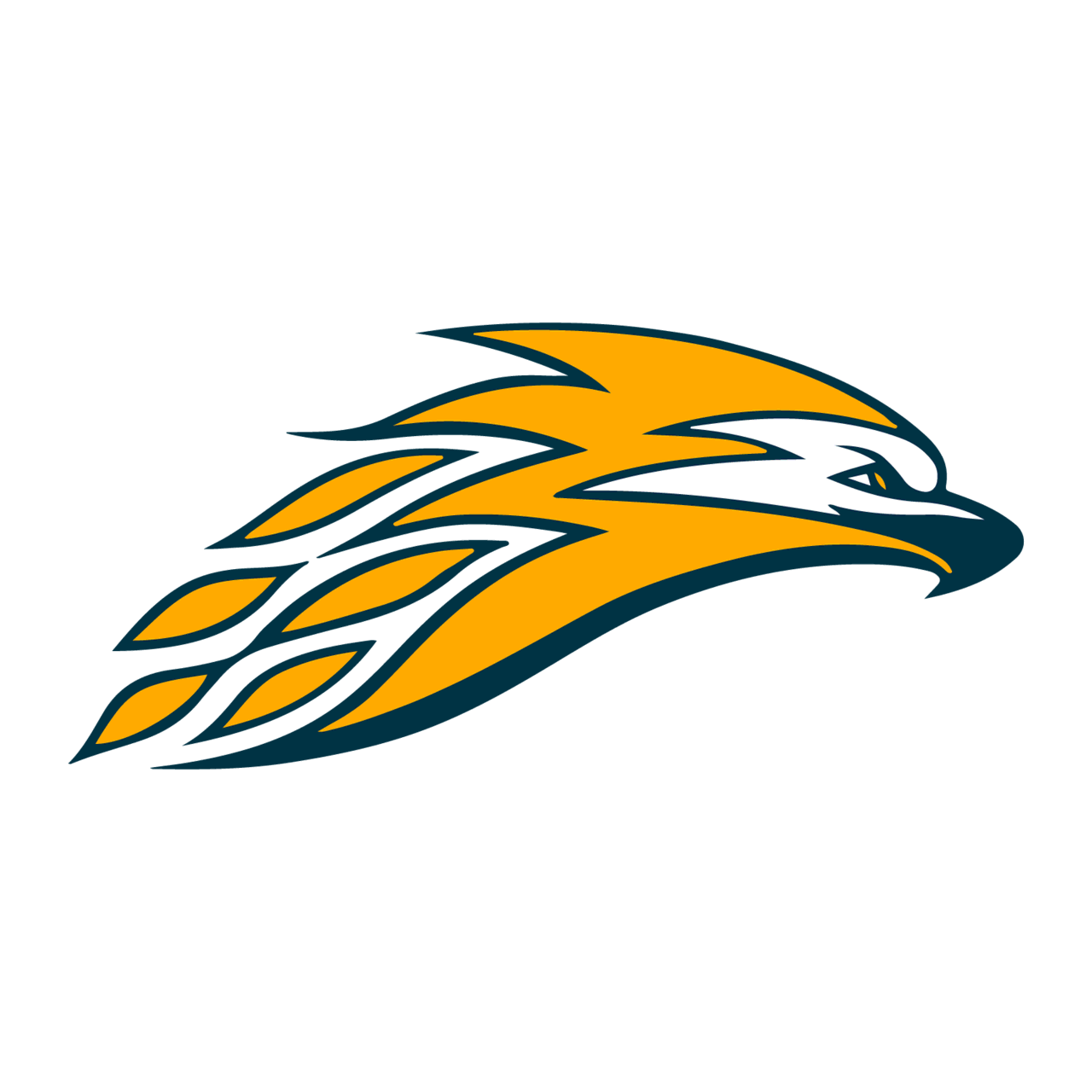 The Thornwood Thunderbirds ScoreStream