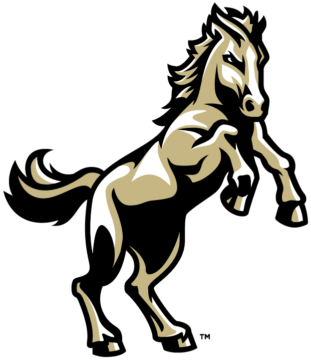 The Daleville Broncos ScoreStream