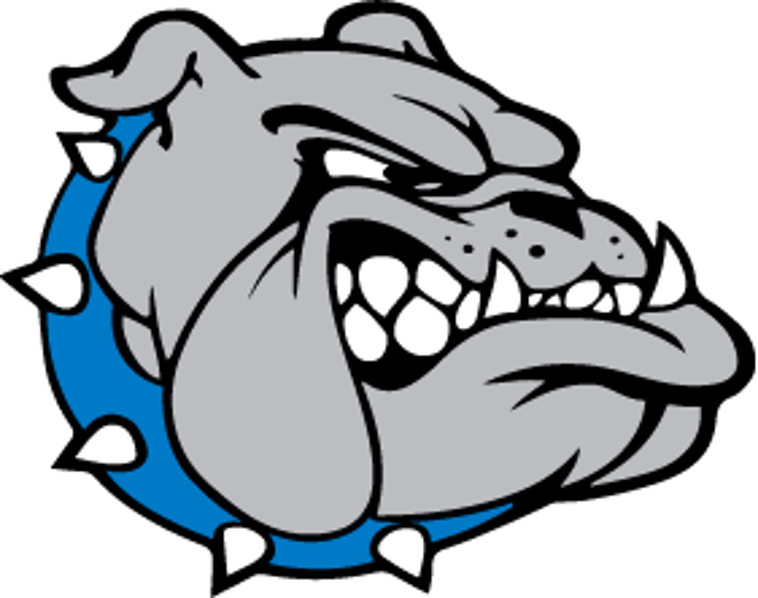 The Pretty Prairie Bulldogs ScoreStream