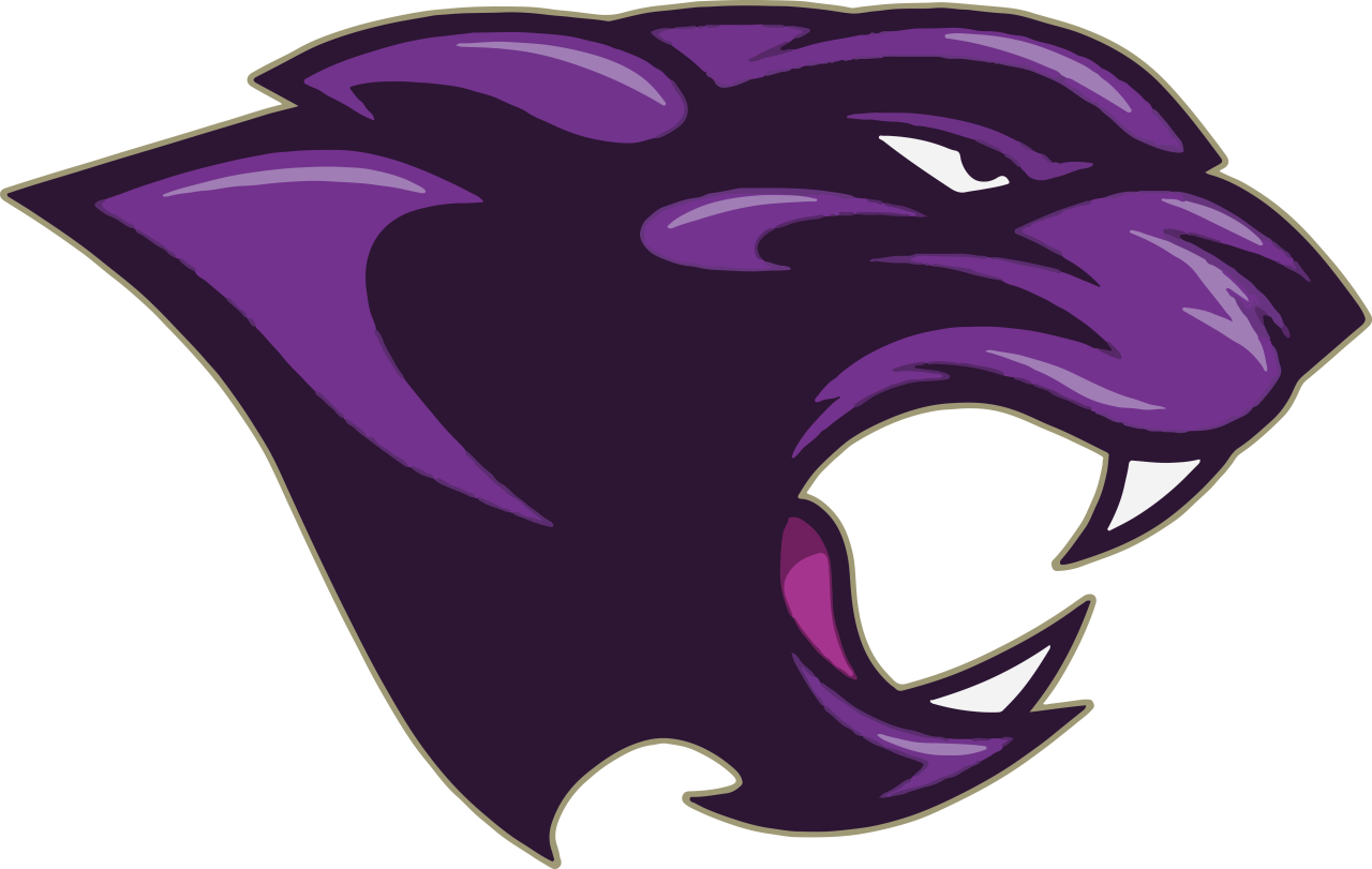 The Dawson Springs Panthers ScoreStream