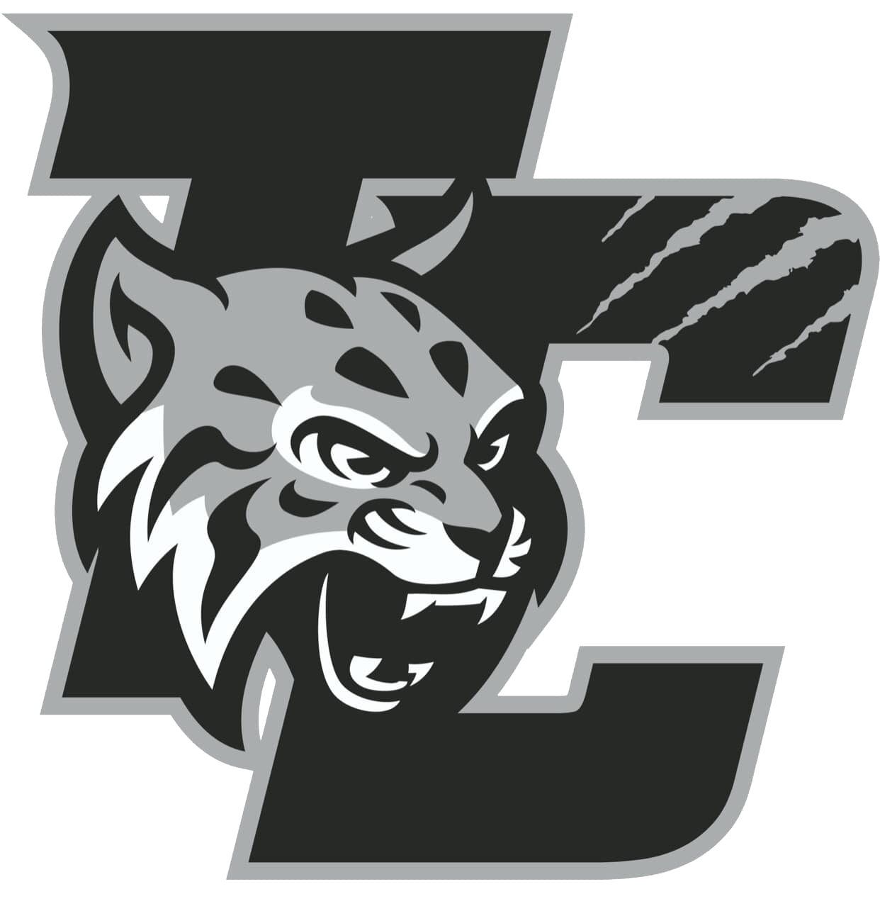 The Trigg County Wildcats ScoreStream