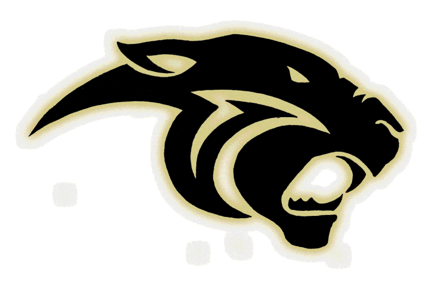 The Berwick Panthers ScoreStream