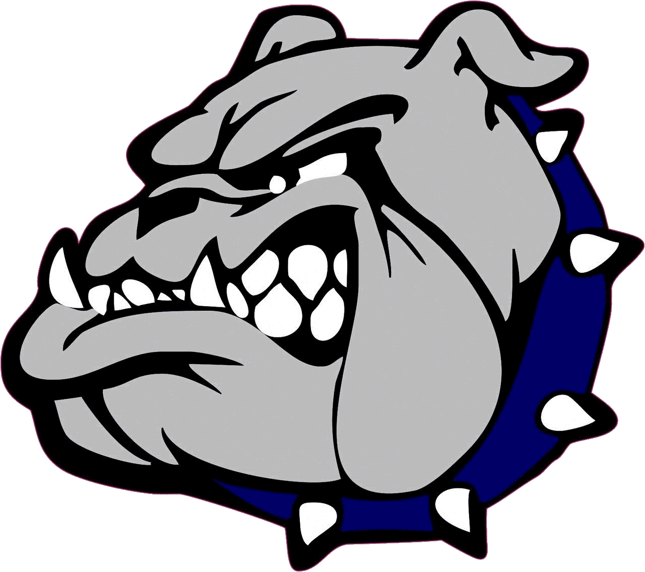 the-red-river-bulldogs-scorestream