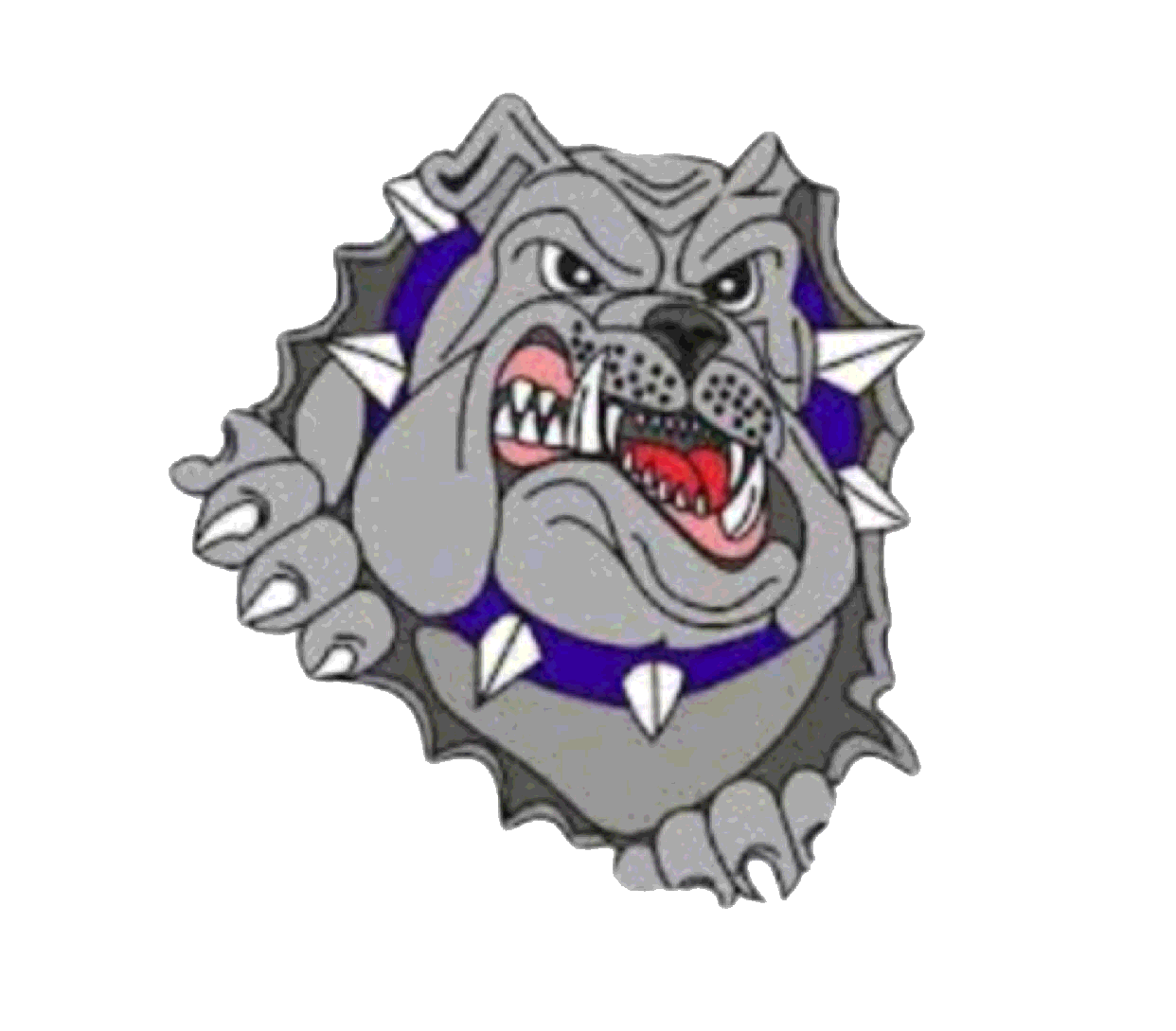 The Ville Platte Bulldogs ScoreStream
