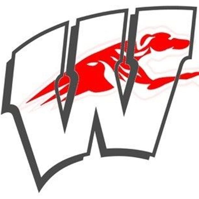 The Welsh Greyhounds ScoreStream