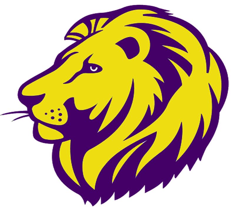 The England Lions ScoreStream