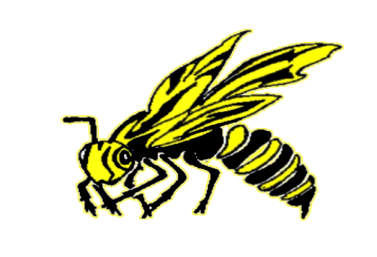 The Hackett ScoreStream