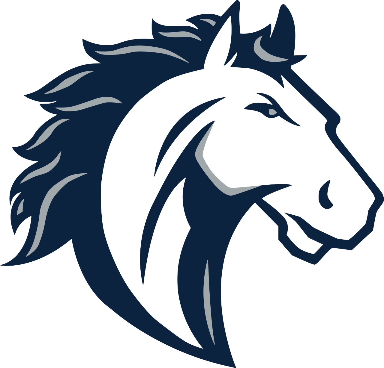 The North Branch Broncos ScoreStream