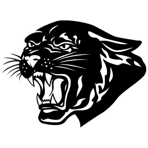 The Pickford Panthers ScoreStream