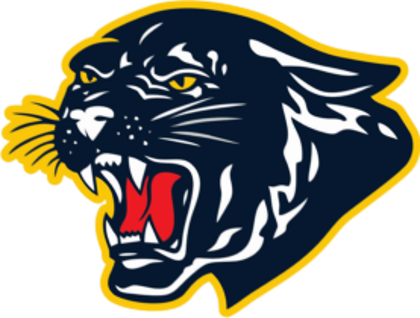 The StandishSterling Panthers ScoreStream