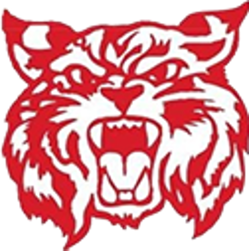 The Walkerville Wildcats ScoreStream