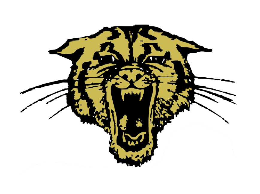 The Trumann Wildcats ScoreStream