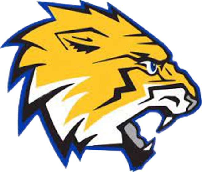 The Rothsay Tigers ScoreStream