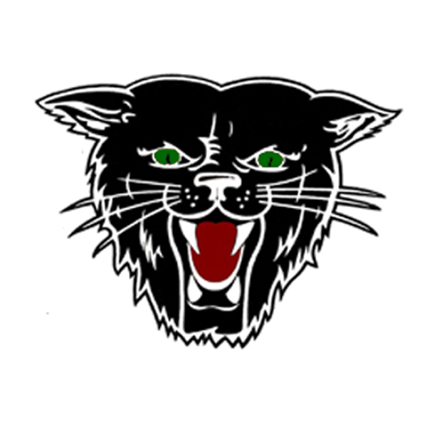 Dexter Maine High School Mascot