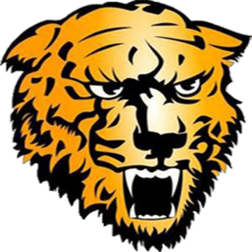 The Summersville Wildcats ScoreStream