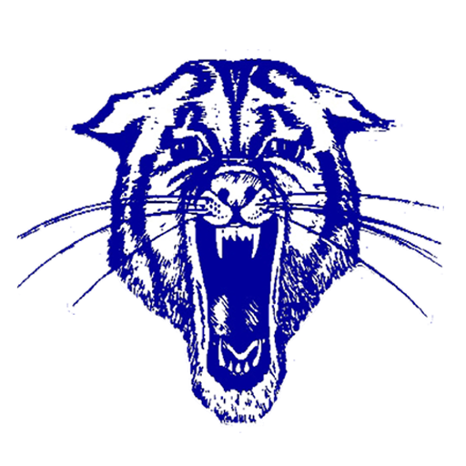 The Hector Wildcats ScoreStream