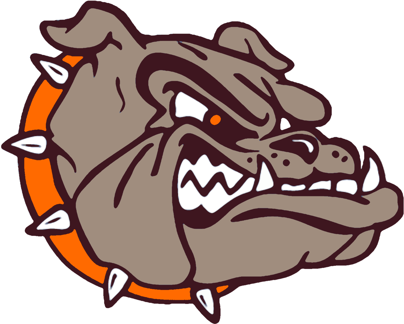 The East Palestine Bulldogs ScoreStream