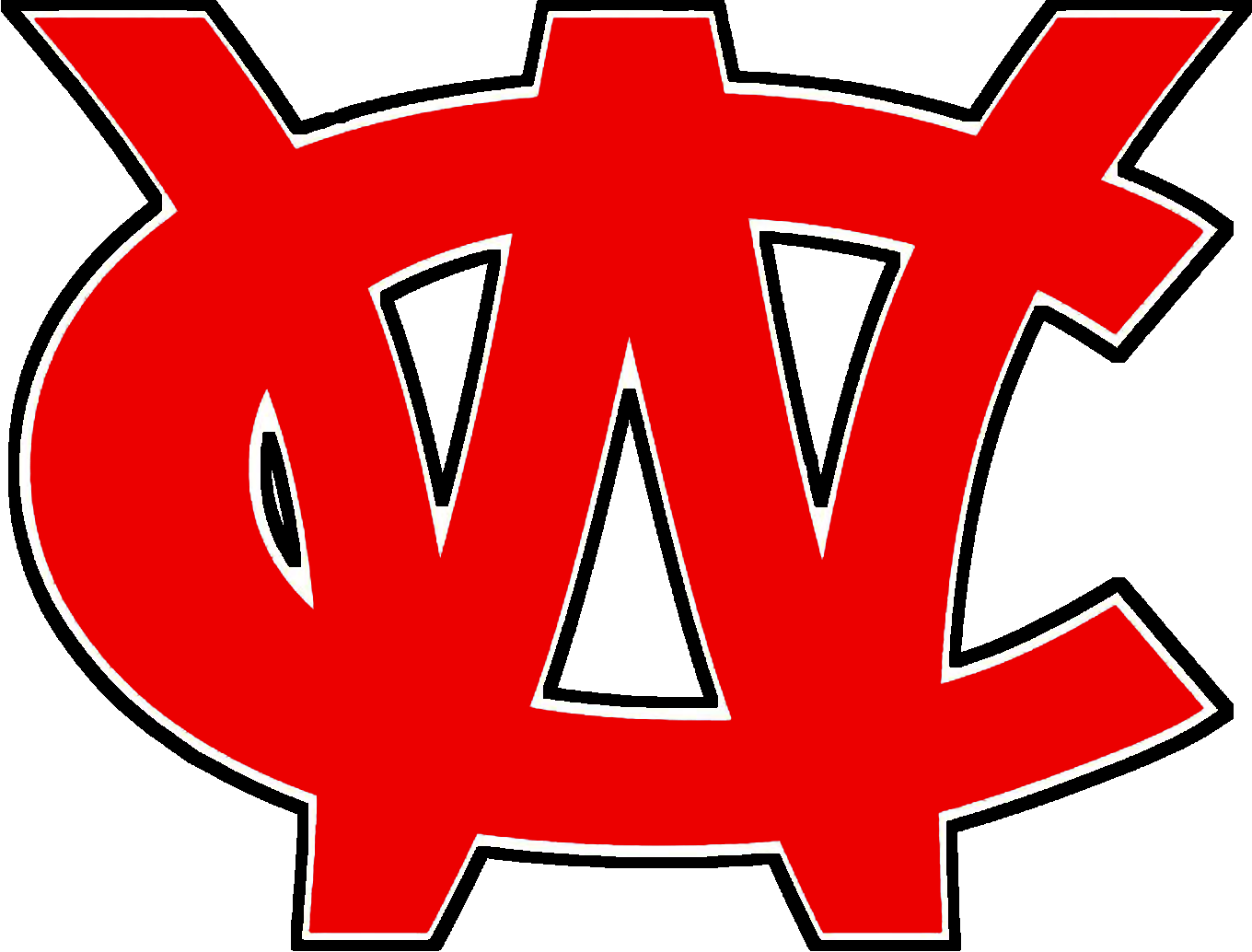 South ster High School Mascot at John Cain blog