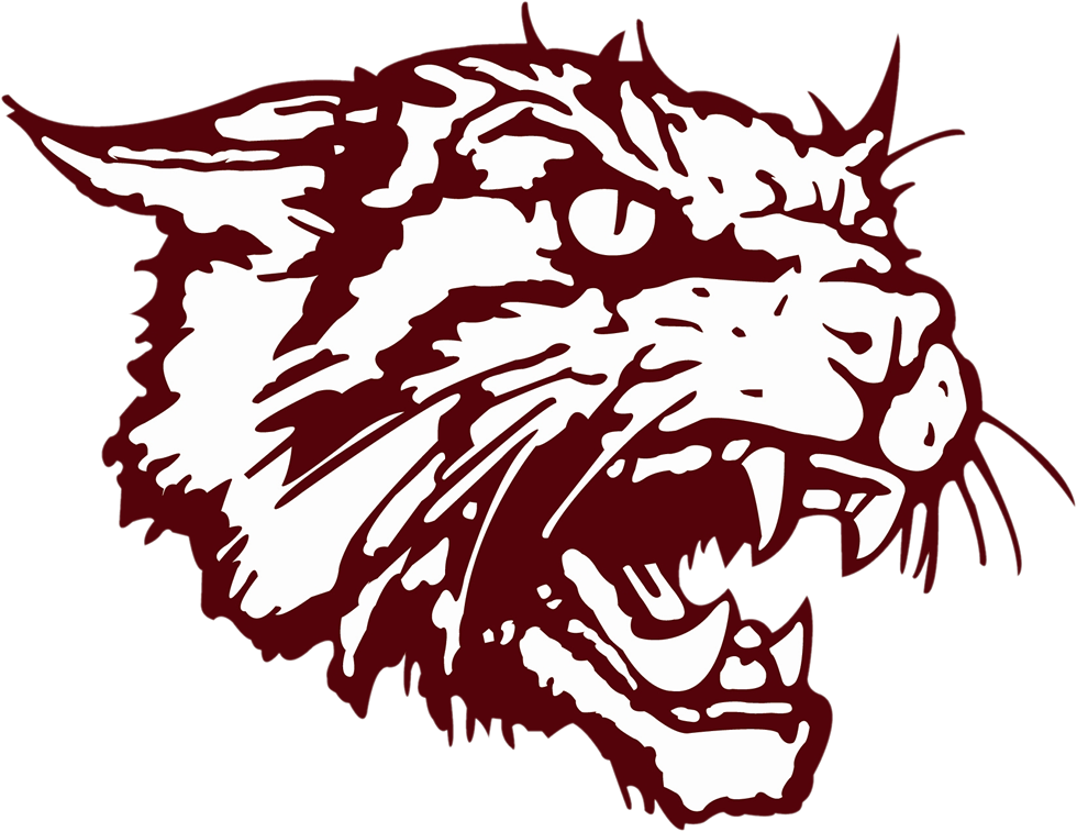 The Clear Creek Wildcats ScoreStream