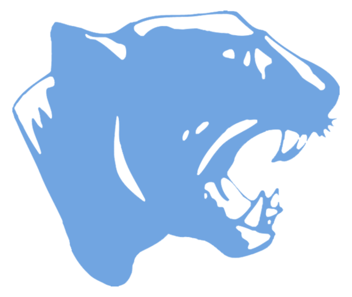 homes for sale brainerd chattanooga tn