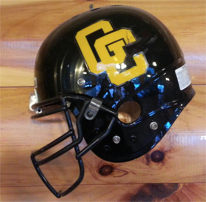 Goose Creek High School Gators Goose Creek, SC ScoreStream