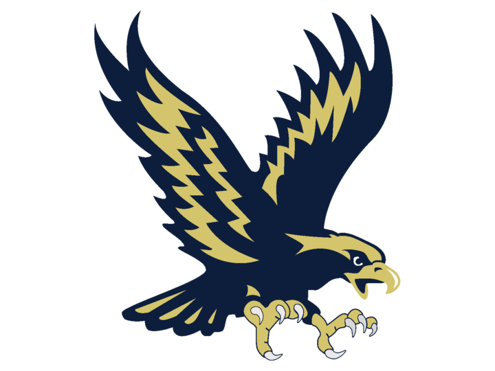 Hedgesville High School Eagles Hedgesville, WV ScoreStream