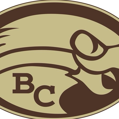 bcfootball10 (bcfootball10) - ScoreStream