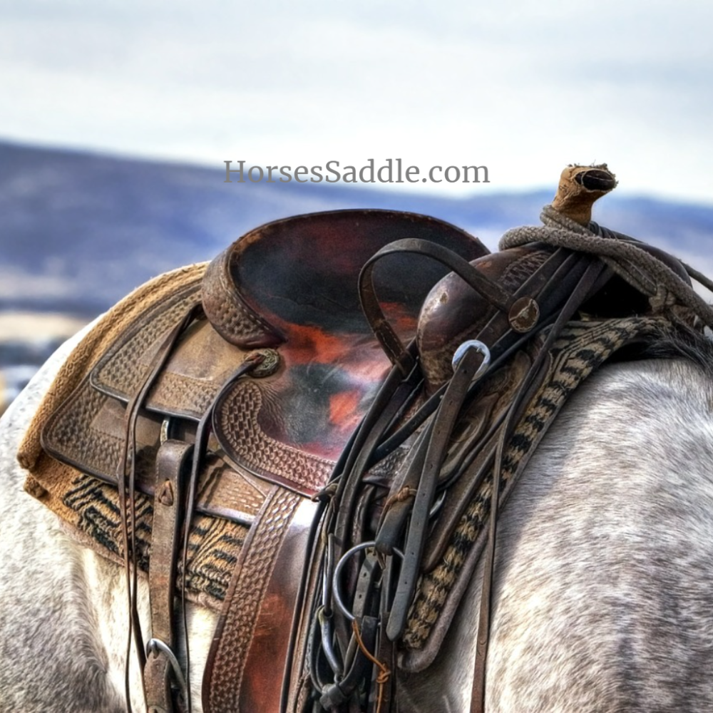 Horse Saddle Shop ScoreStream