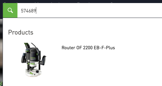 Festool_United_States_-_Professional_Power_Tools_for_Superior_Craftsmen_2022-06-21_18-32-10.png