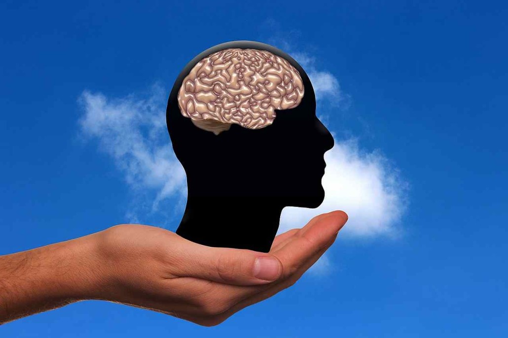 brain facts