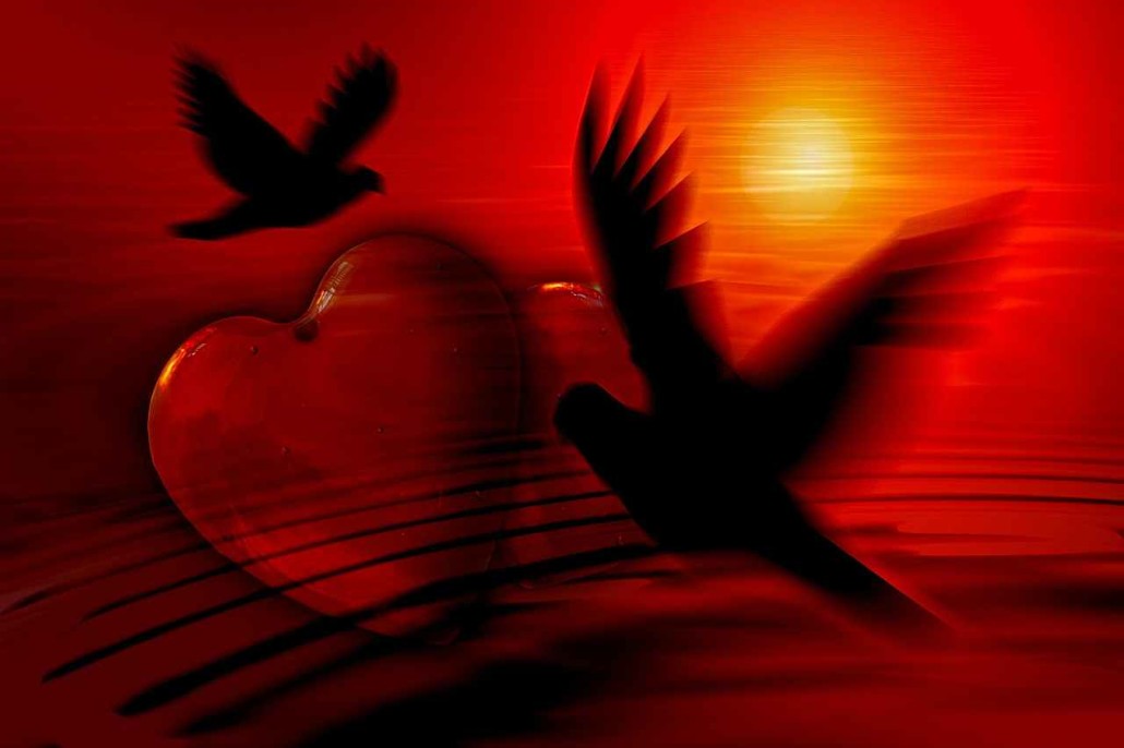 Quotes About Love